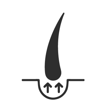 arista-stimulating-shampoo-bar-fuller-roots-property